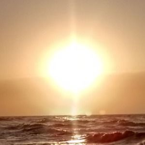 Meet your Posher, Dan